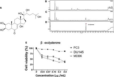 BK002 Induces miR-192-5p-Mediated Apoptosis in Castration-Resistant Prostate Cancer Cells via Modulation of PI3K/CHOP